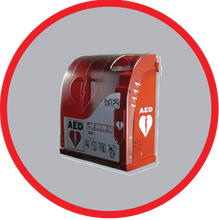 Load image into Gallery viewer, AIVIA 200 Indoor/Outdoor Cabinet with Fan, Alarm &amp; Optional Heater
